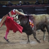 Reportaje fotográfico de la corrida de El Juli, Perera y Padilla en Olivenza