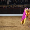 Reportaje fotográfico de la corrida de El Juli, Perera y Padilla en Olivenza