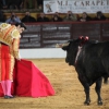 Reportaje fotográfico de la corrida de El Juli, Perera y Padilla en Olivenza