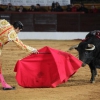 Reportaje fotográfico de la corrida de El Juli, Perera y Padilla en Olivenza