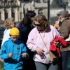 Mayores y niños buscan el tesoro perdido en la Alcazaba