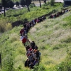 Mayores y niños buscan el tesoro perdido en la Alcazaba