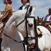 Romería de Bótoa 2013