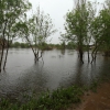 Crecida del río Guadiana a su paso por Badajoz