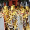 Gran Desfile de Comparsas de Badajoz 2014, parte 2