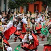 Gran Desfile de Comparsas de Badajoz 2014, parte 2
