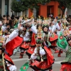 Gran Desfile de Comparsas de Badajoz 2014, parte 2