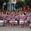 Gran Desfile de Comparsas de Badajoz 2014, parte 2