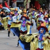 Gran Desfile de Comparsas de Badajoz 2014, parte 3