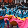 Gran Desfile de Comparsas de Badajoz 2014, parte 3