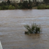 El caudal del Guadiana en Badajoz alcanza al Paseo Fluvial