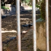 Comienzan las obras en los Jardines de la Galera