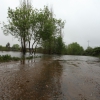 Crecida del río Guadiana a su paso por Badajoz