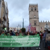 Imágenes de la manifestación de Badajoz contra la Ley Wert