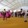 Exhibición de Toreo de Salón en la feria del Toro de Olivenza