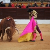 Reportaje fotográfico de la corrida de El Juli, Perera y Padilla en Olivenza