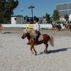 Primera jornada de Ecuextre 2014