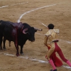 Imágenes de la primera corrida de la Feria de San Juan 2014