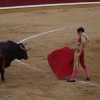 Imágenes de la primera corrida de la Feria de San Juan 2014