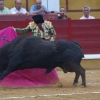 Imágenes de Campos, Morante, El Juli y Perera en la segunda de Feria de Badajoz