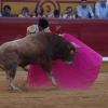 Imágenes de Campos, Morante, El Juli y Perera en la segunda de Feria de Badajoz