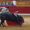 Imágenes de la Novillada de San Juan con José Garrido, Ginés Marín y Fernando Flores