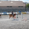 Primera jornada de Ecuextre 2014