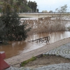 El caudal del Guadiana en Badajoz alcanza al Paseo Fluvial