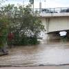 El caudal del Guadiana en Badajoz alcanza al Paseo Fluvial