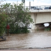 El caudal del Guadiana en Badajoz alcanza al Paseo Fluvial