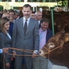 Los Reyes de España inauguran la Feria Internacional Ganadera de Zafra