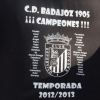 El CD Badajoz 1905 asciende tras una espectacular temporada