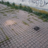 Estado actual del Estadio Nuevo Vivero de Badajoz