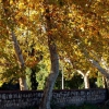 Otoño en Badajoz