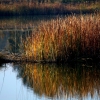 Un paseo por el Guadiana I