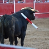 Éxito de asistencia en el Festival Taurino de Las Vaguadas