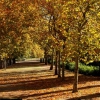 Otoño en Badajoz