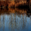 Un paseo por el Guadiana I