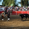 Éxito de asistencia en el Festival Taurino de Las Vaguadas