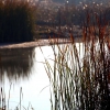 Un paseo por el Guadiana I