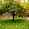 Otoño en Badajoz
