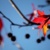 Otoño en Badajoz