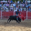 Éxito de asistencia en el Festival Taurino de Las Vaguadas