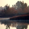 Un paseo por el Guadiana I