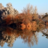 Un paseo por el Guadiana I