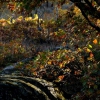 Colores de otoño extremeño