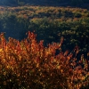 Colores de otoño extremeño