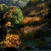 Colores de otoño extremeño