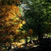 Colores de otoño extremeño