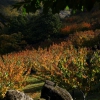 Colores de otoño extremeño
